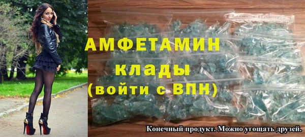 молекула духа Вяземский