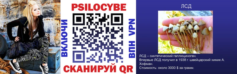 Купить закладки  Котлас  Псилоцибиновые грибы Magic Shrooms 